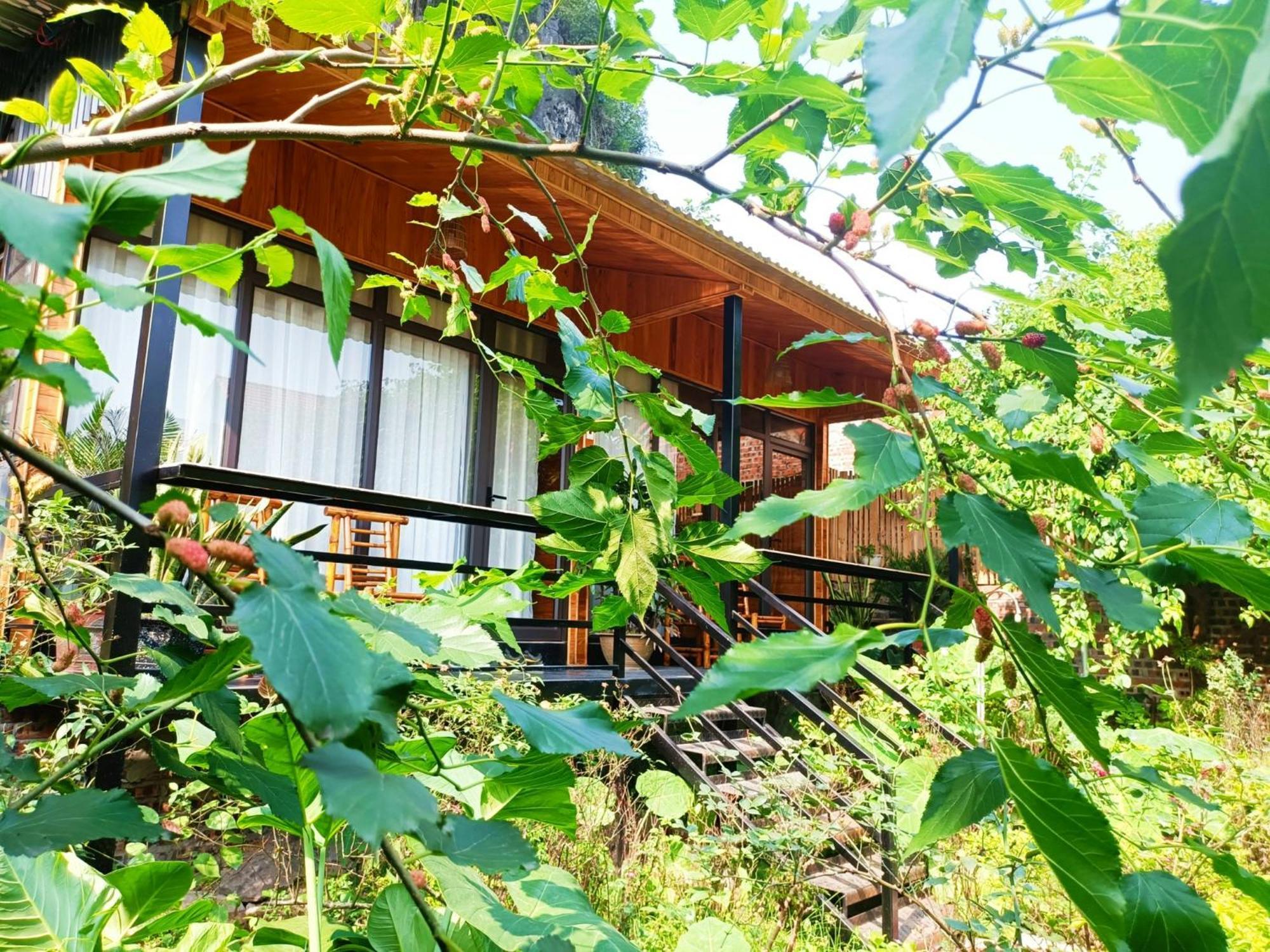 Tam Coc Sunshine Homestay ニンビン エクステリア 写真