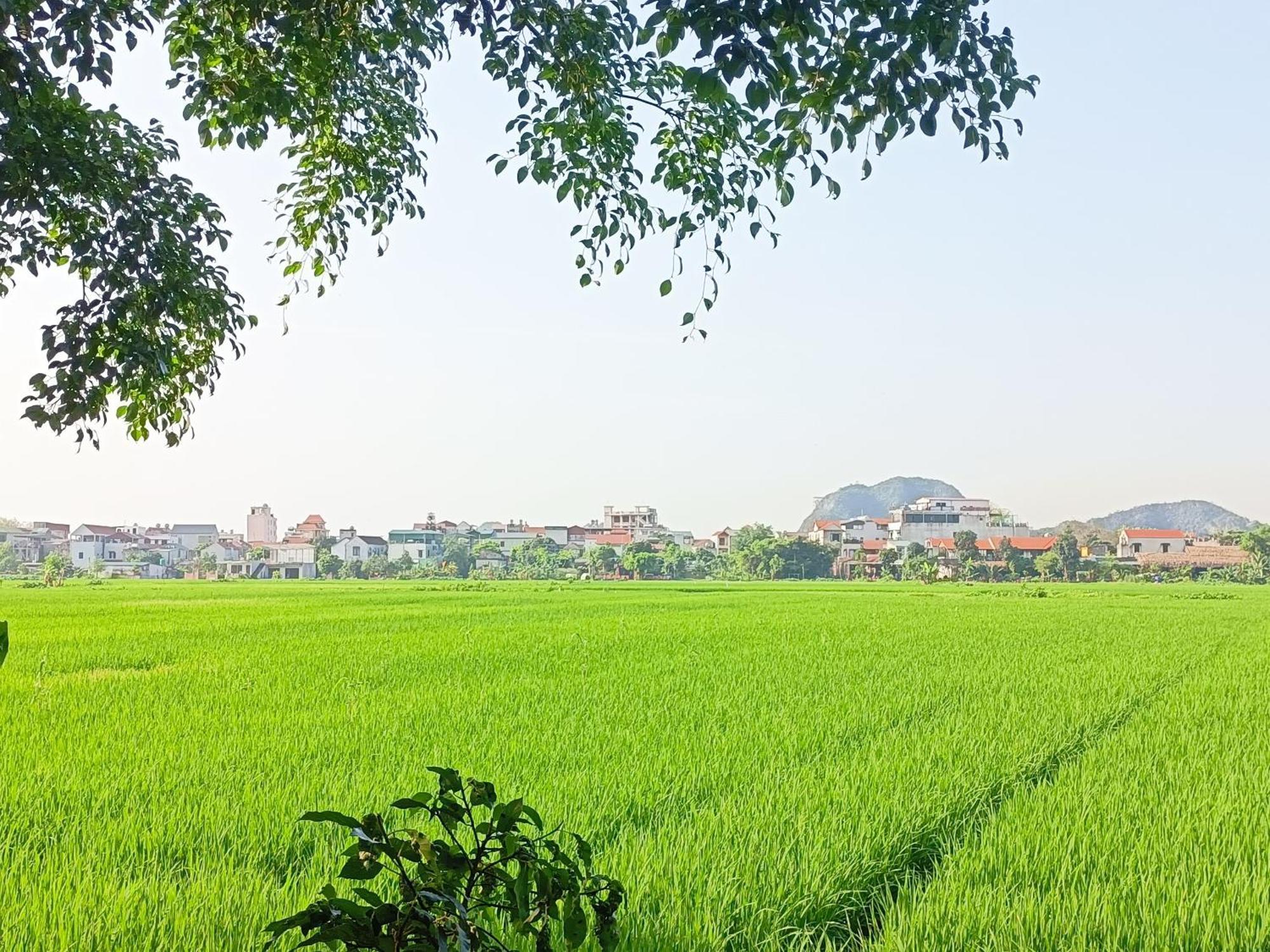 Tam Coc Sunshine Homestay ニンビン エクステリア 写真