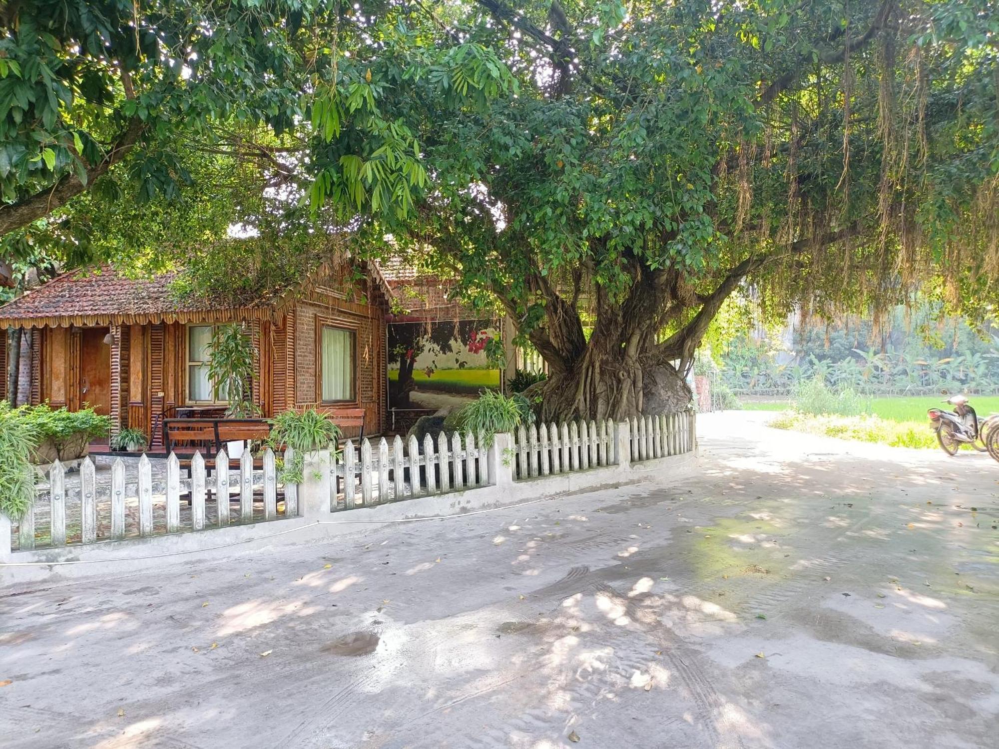 Tam Coc Sunshine Homestay ニンビン エクステリア 写真