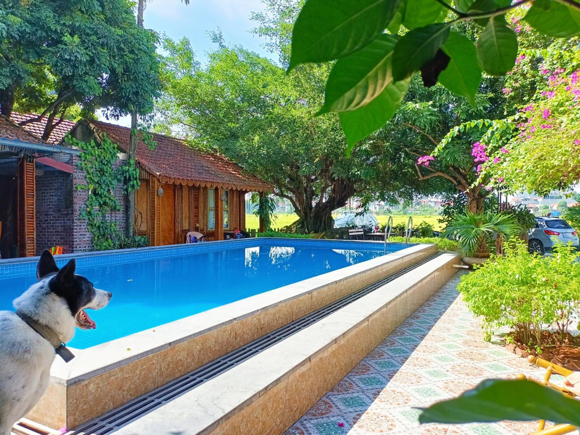 Tam Coc Sunshine Homestay ニンビン エクステリア 写真