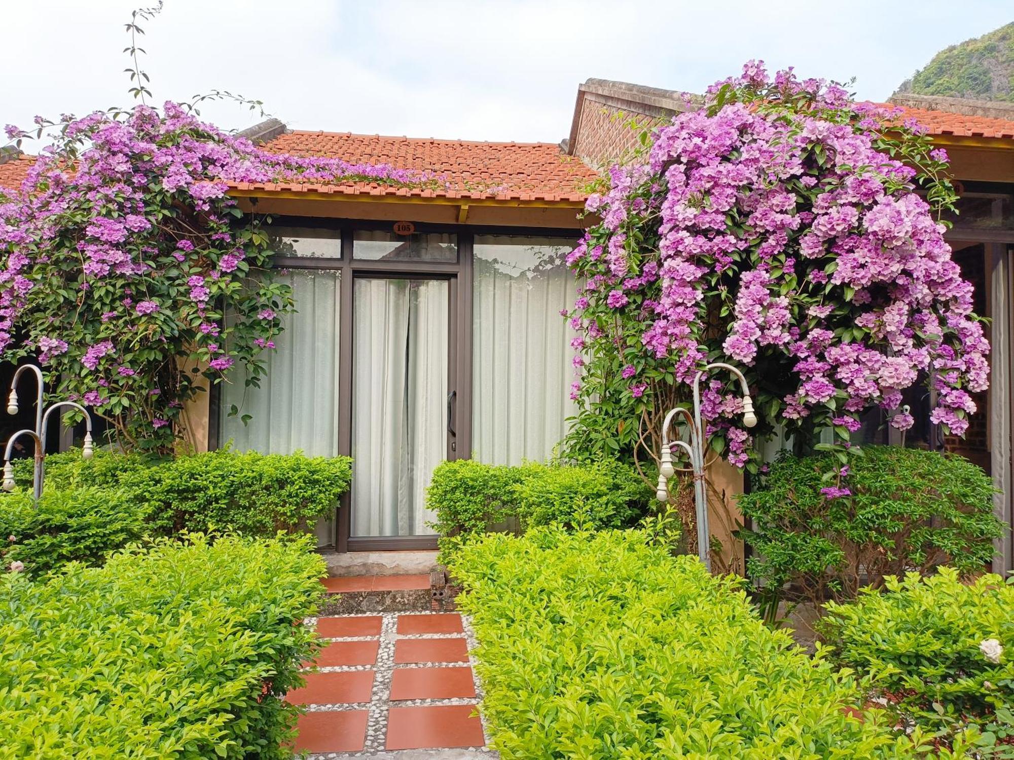Tam Coc Sunshine Homestay ニンビン エクステリア 写真