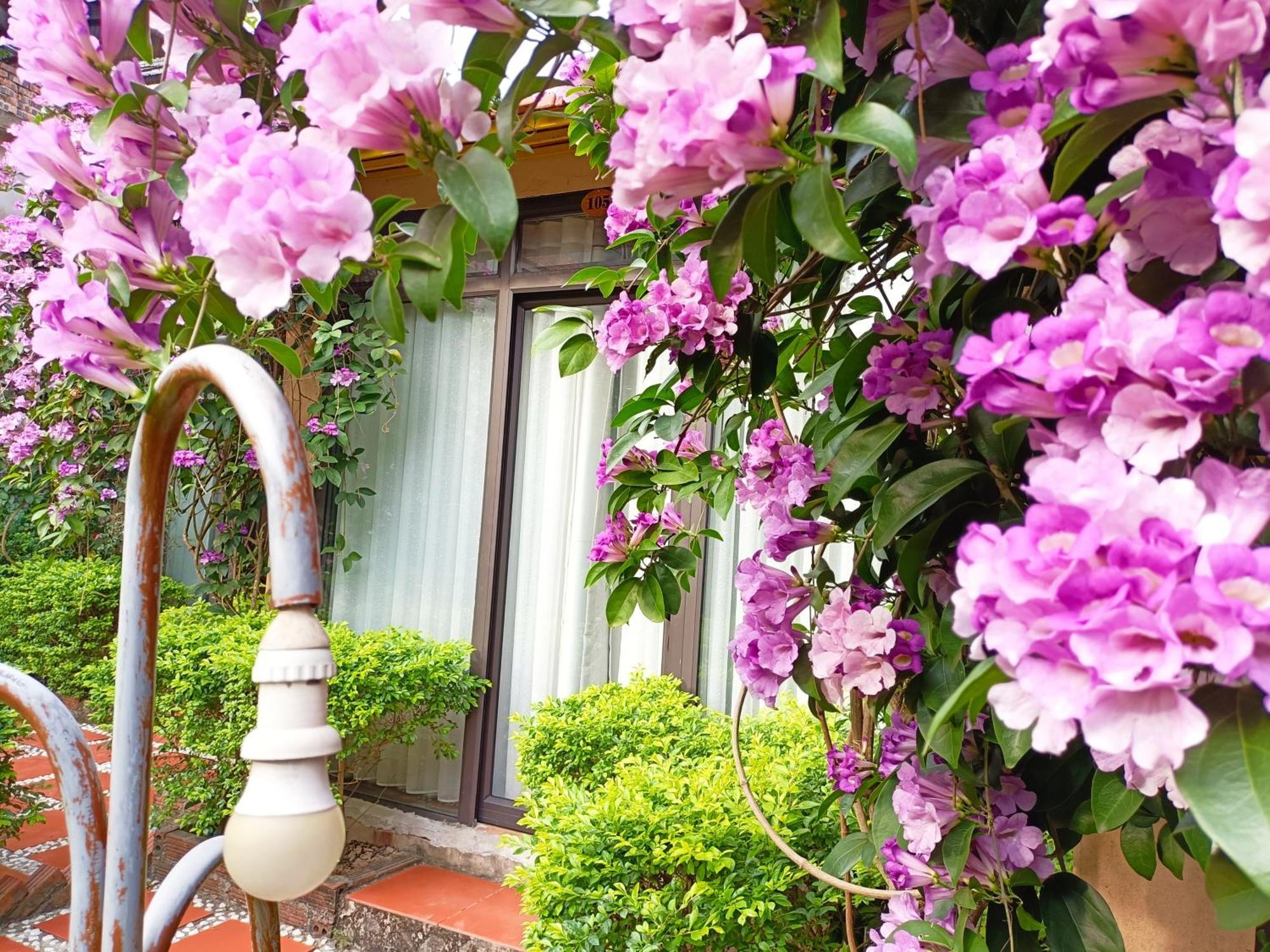 Tam Coc Sunshine Homestay ニンビン エクステリア 写真