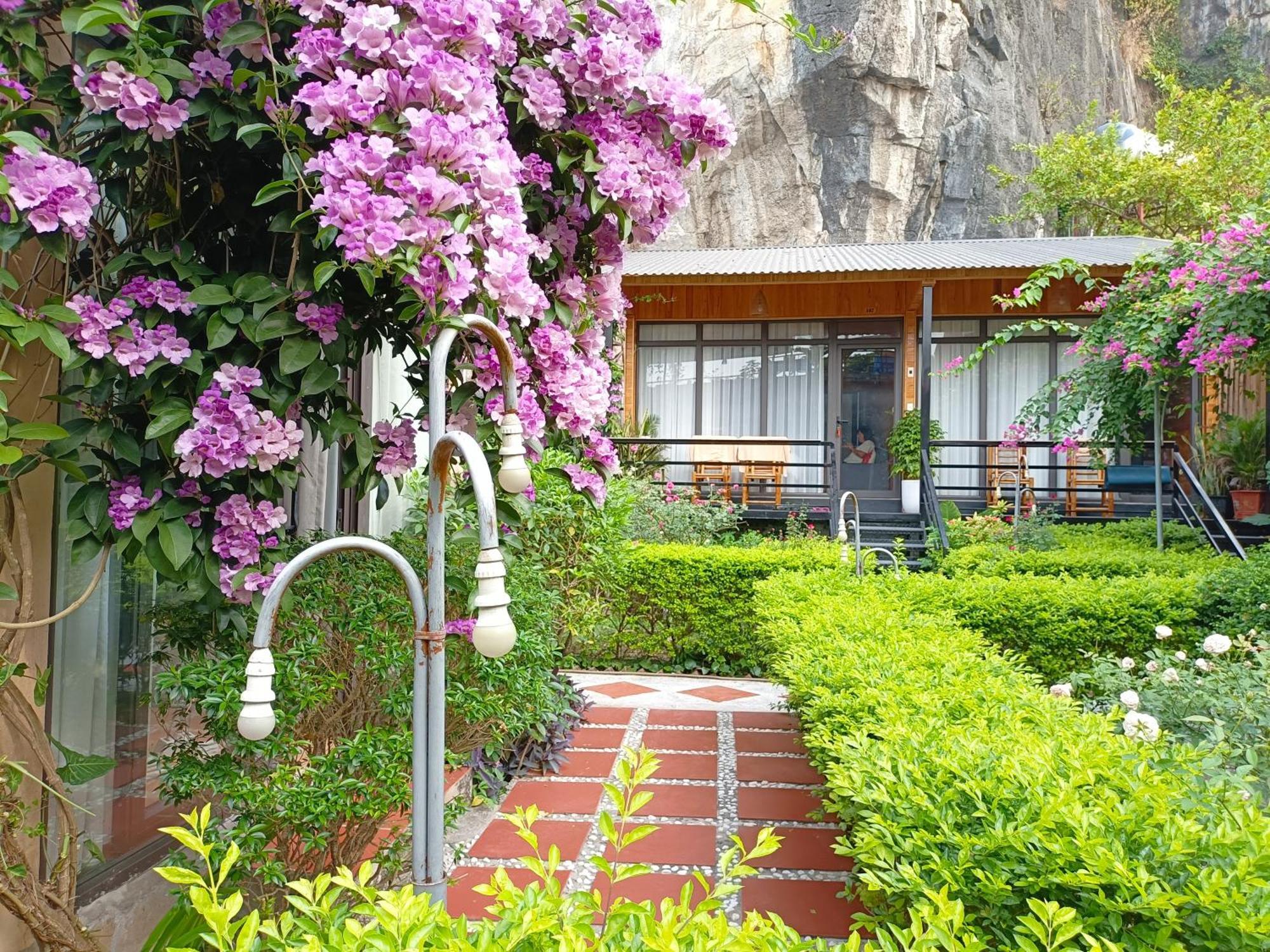 Tam Coc Sunshine Homestay ニンビン エクステリア 写真