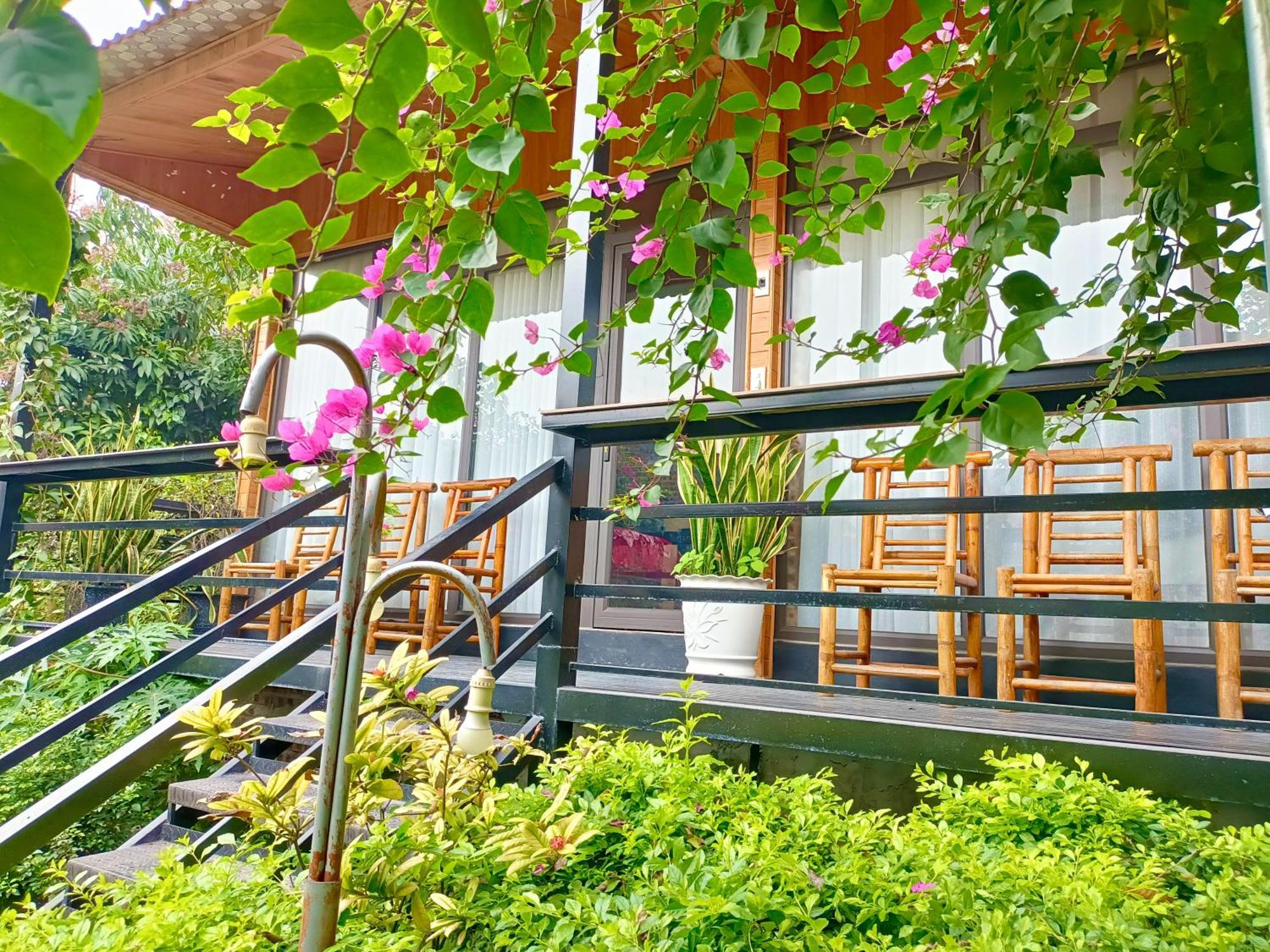 Tam Coc Sunshine Homestay ニンビン エクステリア 写真