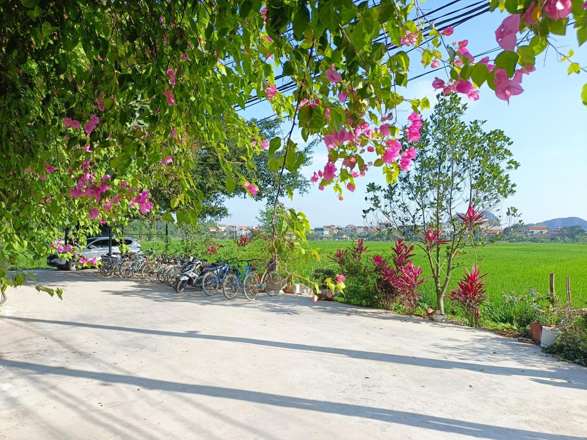 Tam Coc Sunshine Homestay ニンビン エクステリア 写真