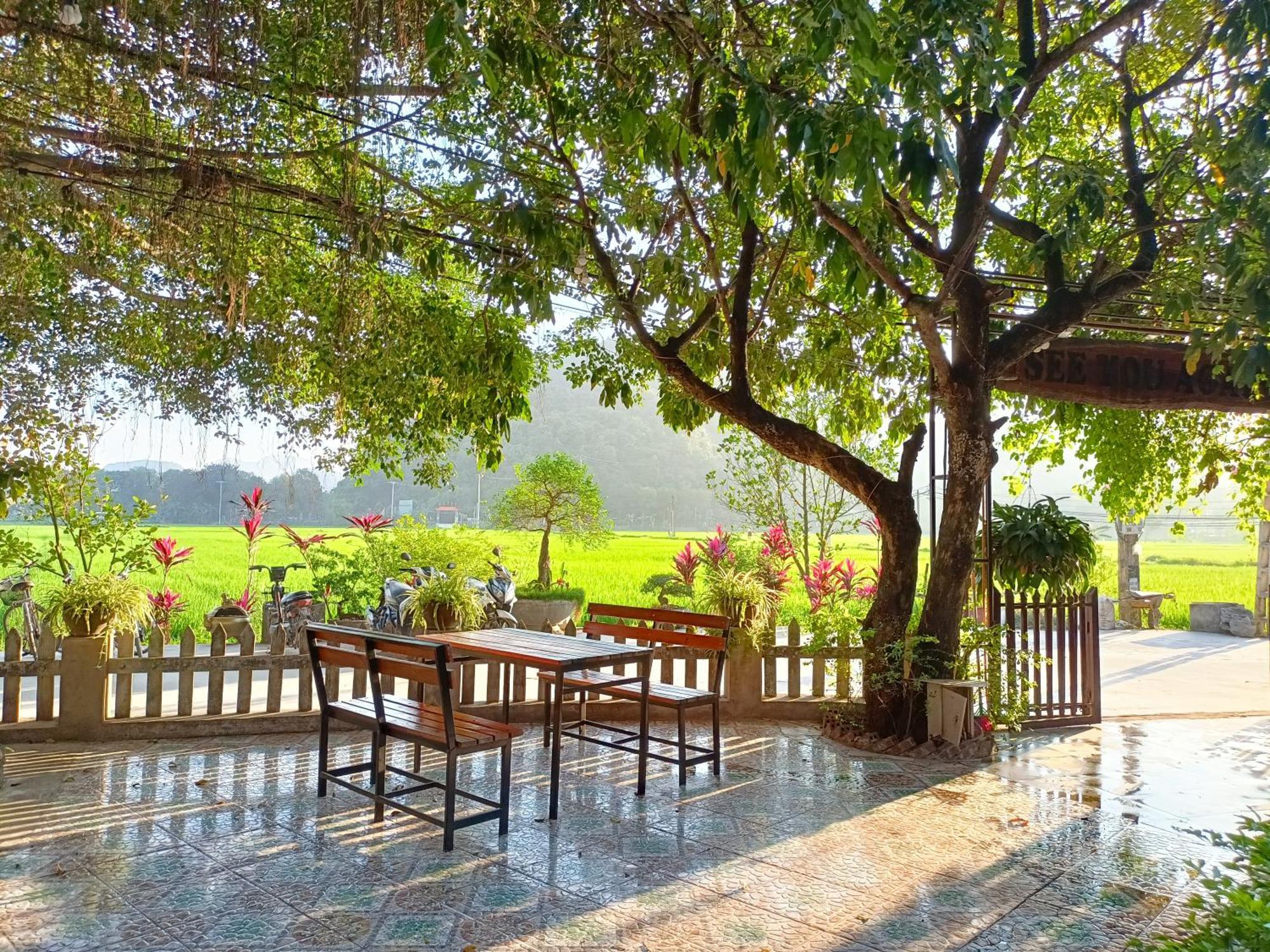 Tam Coc Sunshine Homestay ニンビン エクステリア 写真