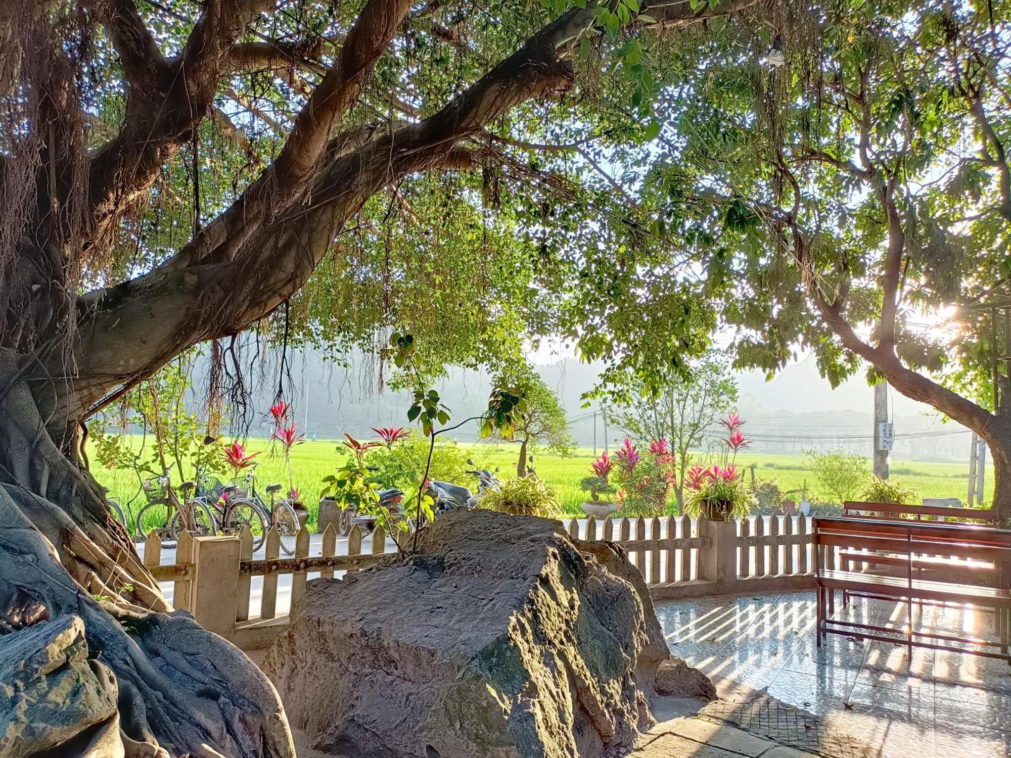 Tam Coc Sunshine Homestay ニンビン エクステリア 写真