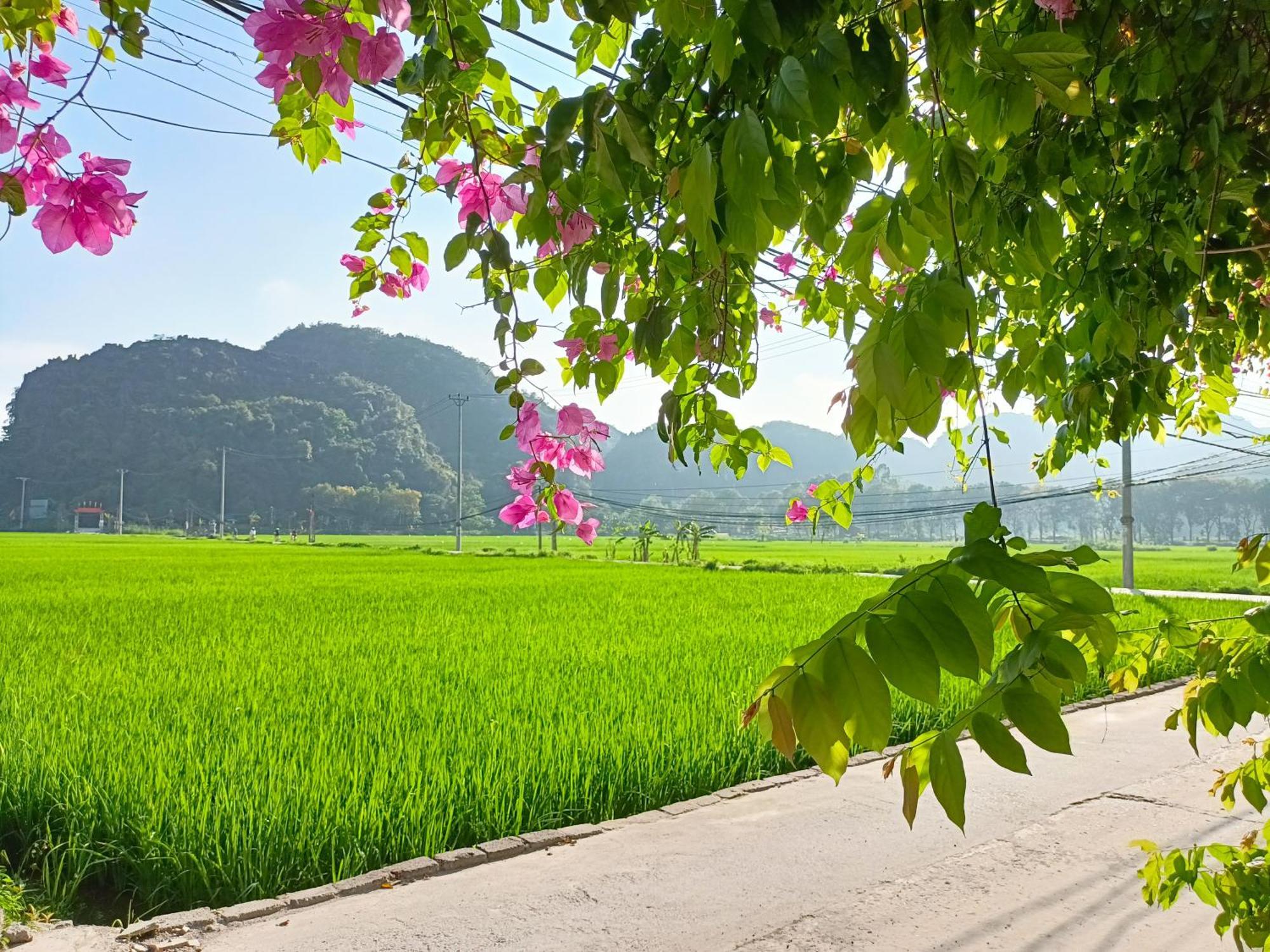 Tam Coc Sunshine Homestay ニンビン エクステリア 写真