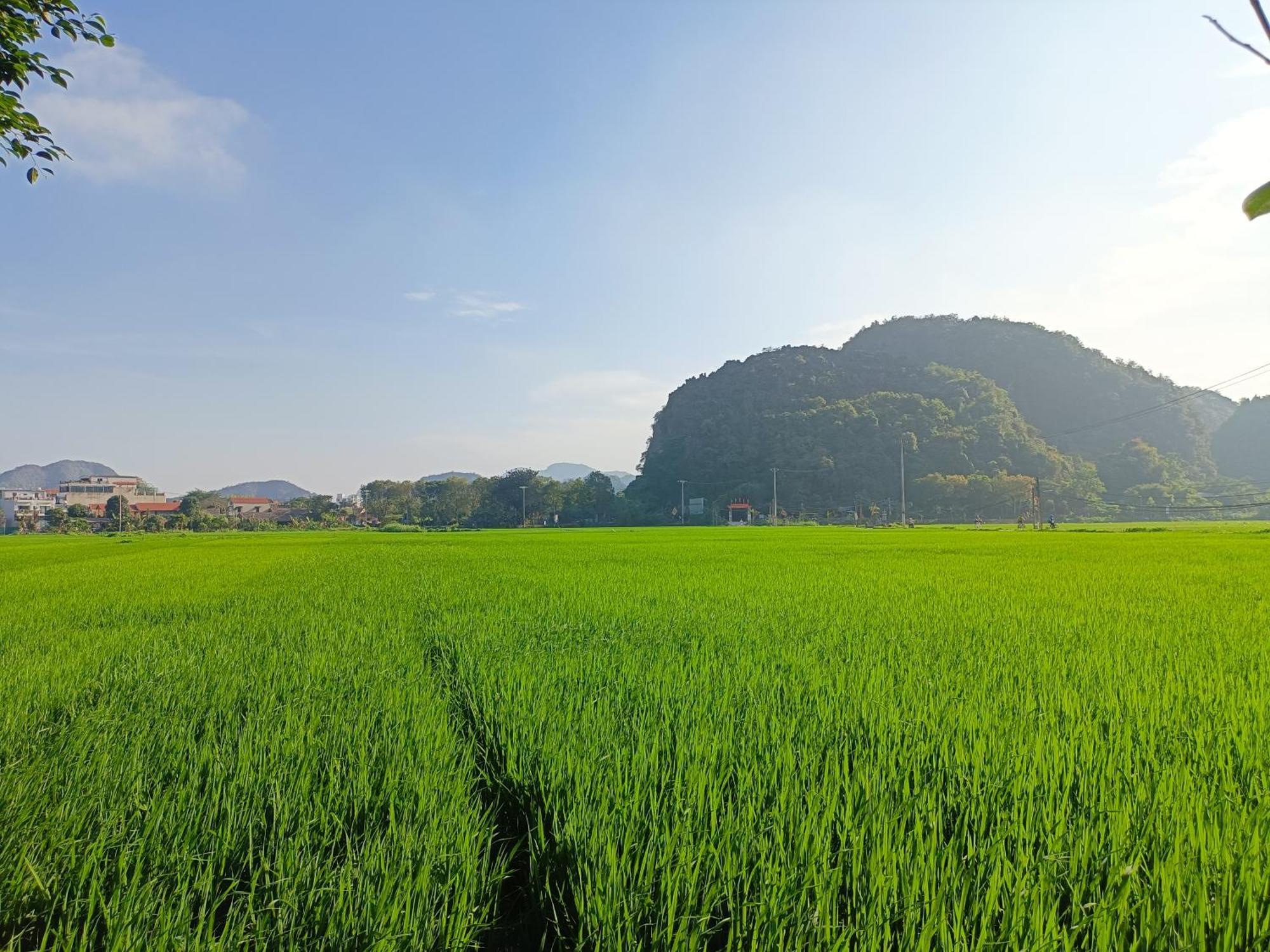 Tam Coc Sunshine Homestay ニンビン エクステリア 写真