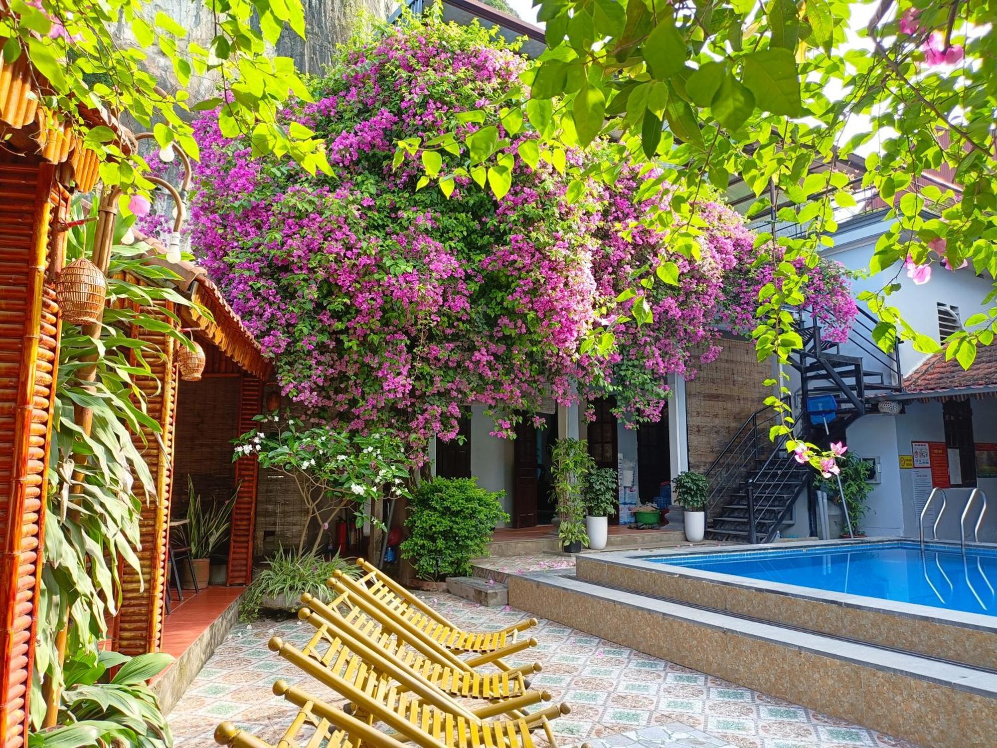 Tam Coc Sunshine Homestay ニンビン エクステリア 写真